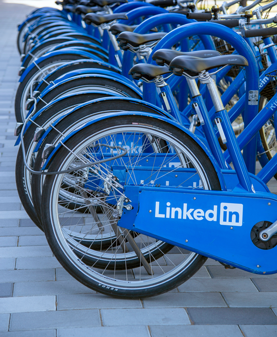 LinkedIn Growth Accelerators Row of blue LinkedIn-branded bicycles lined up at a corporate campus, representing mobility and forward progress